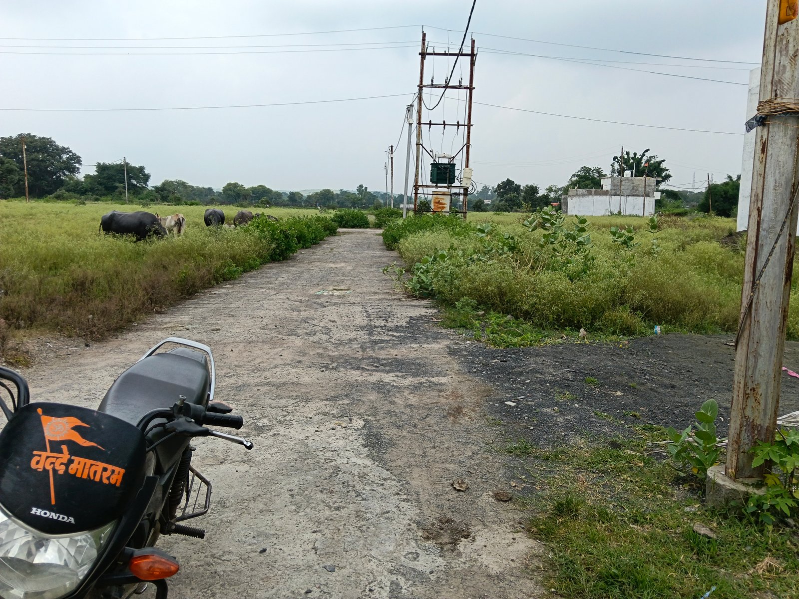 Residential plot  3