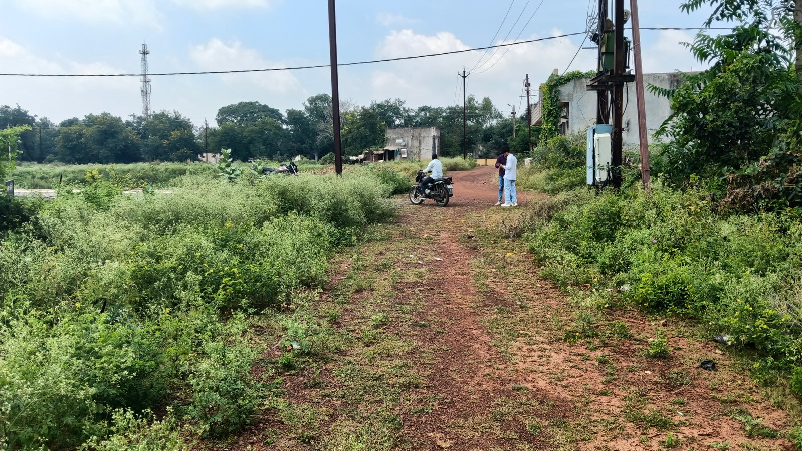 Residential plot  4