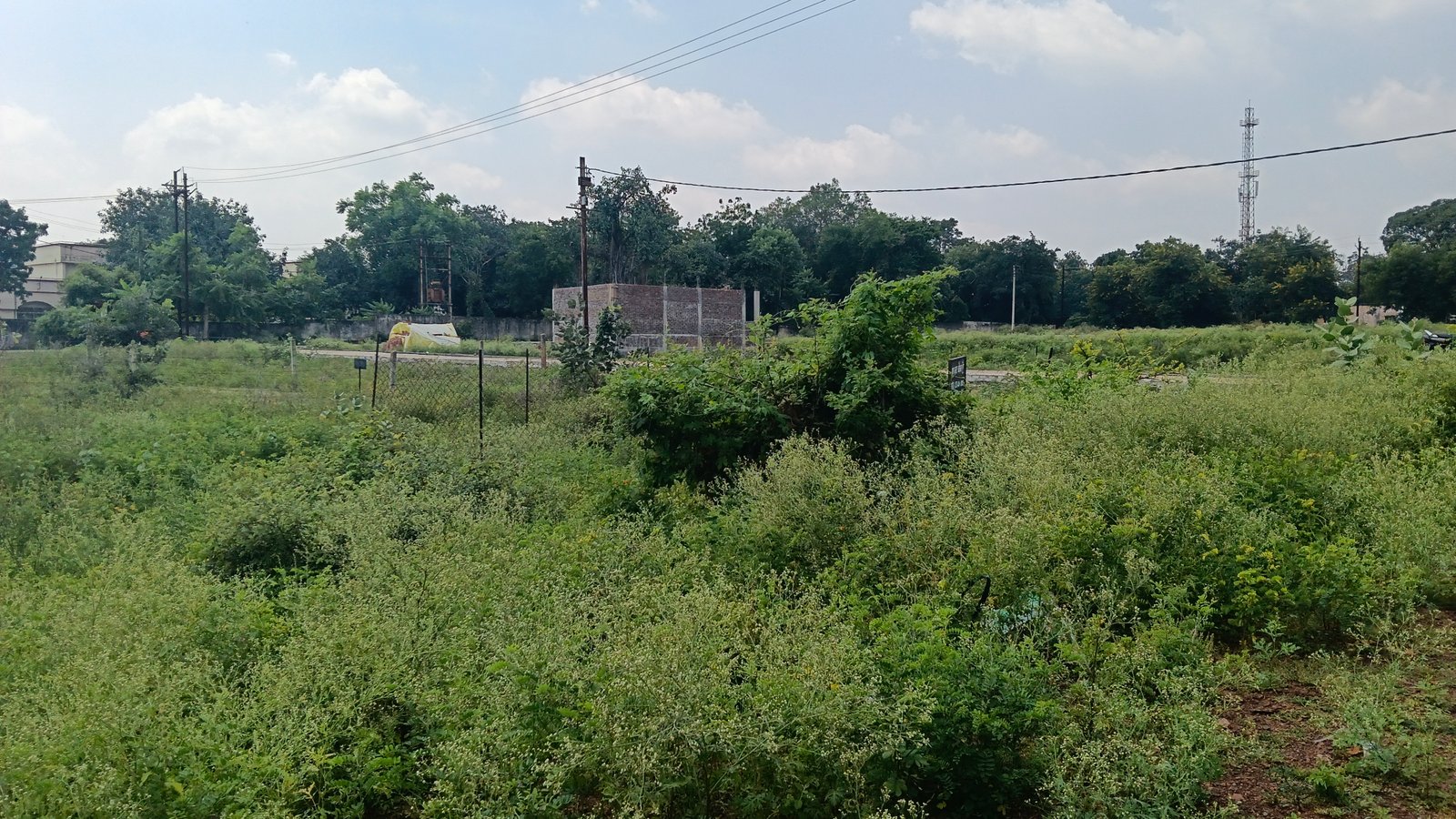 Residential plot  5