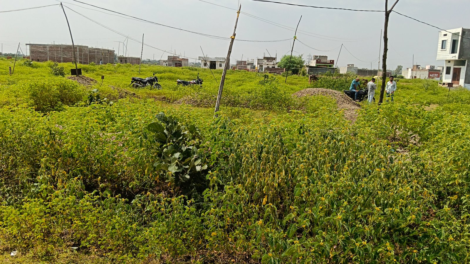 Residential plot 4