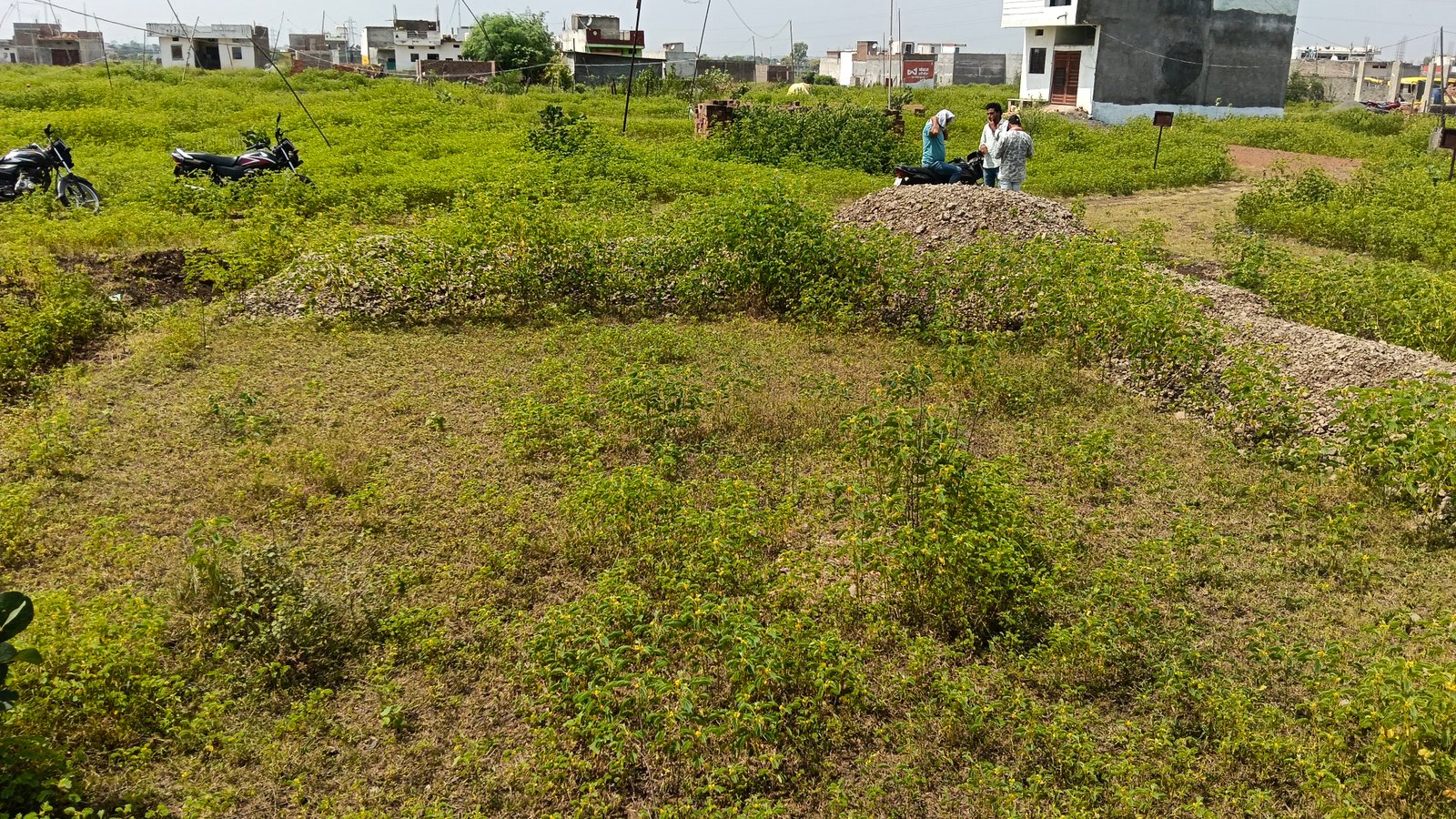 Residential plot 2