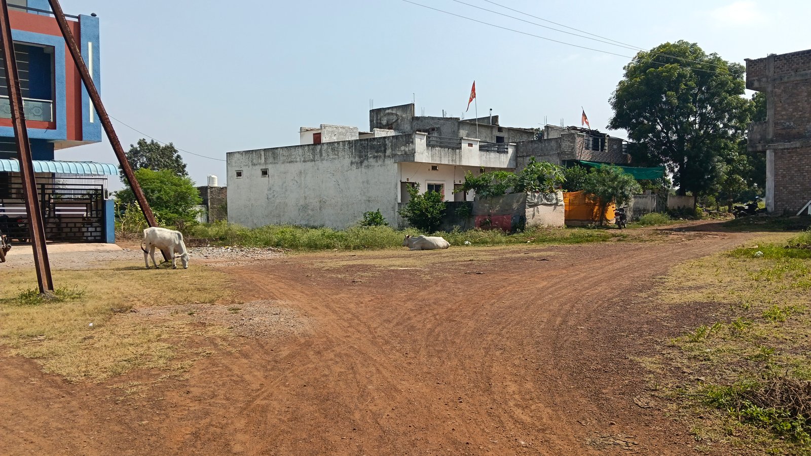 Residantal property  2