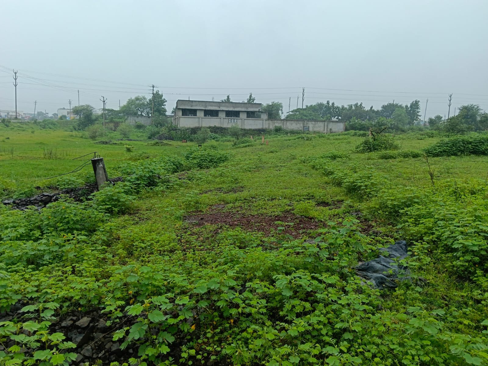Residantal Plot 2